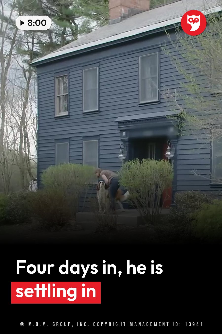 A person bends down near a large dog on the steps of a blue house with bushes nearby. A headline runs in white letters across the lower third.