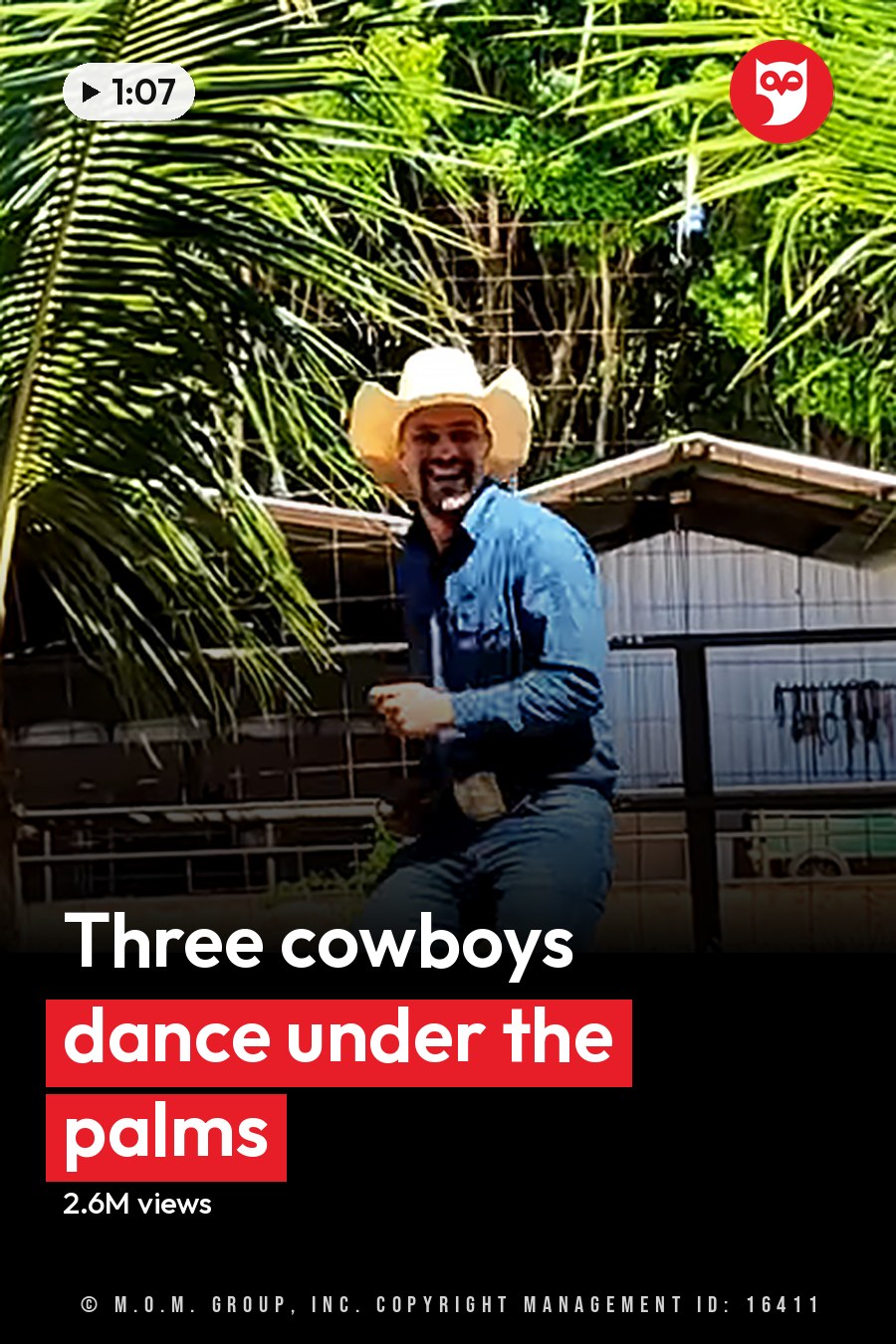 Three adult males in a tropical outdoor setting, wearing cowboy attire with palm trees and bright sunlight visible. The headline runs in white letters across the lower third.