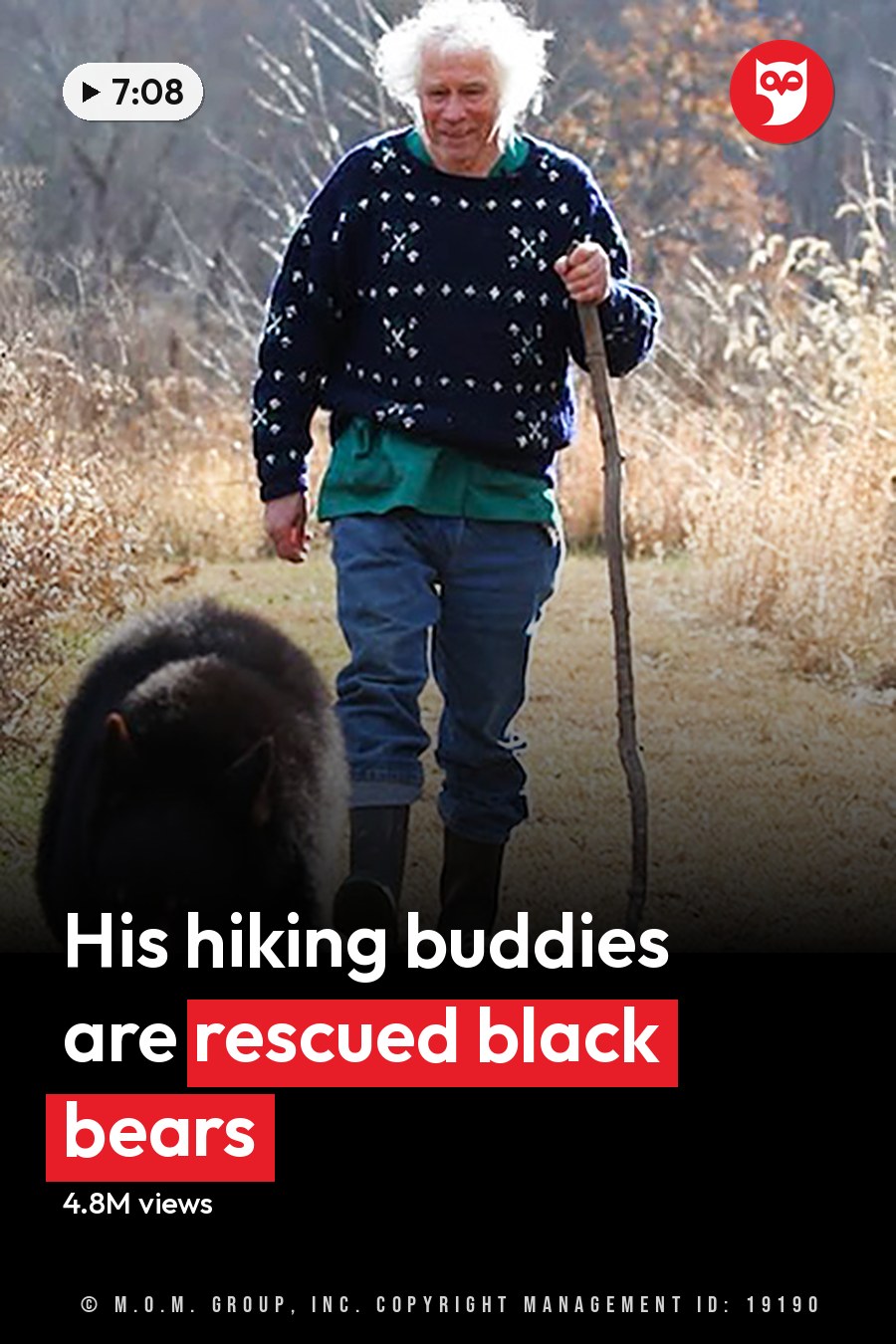 An older adult female walks with three juvenile black bears in a dry grassy outdoor setting during late autumn or early spring, under natural light. The headline runs in white letters across the lower third.