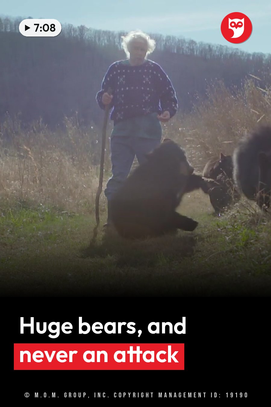Joel Rosenthal holds a stick while standing near two large black bears in a grassy field with trees behind. A headline runs in white letters across the lower third.