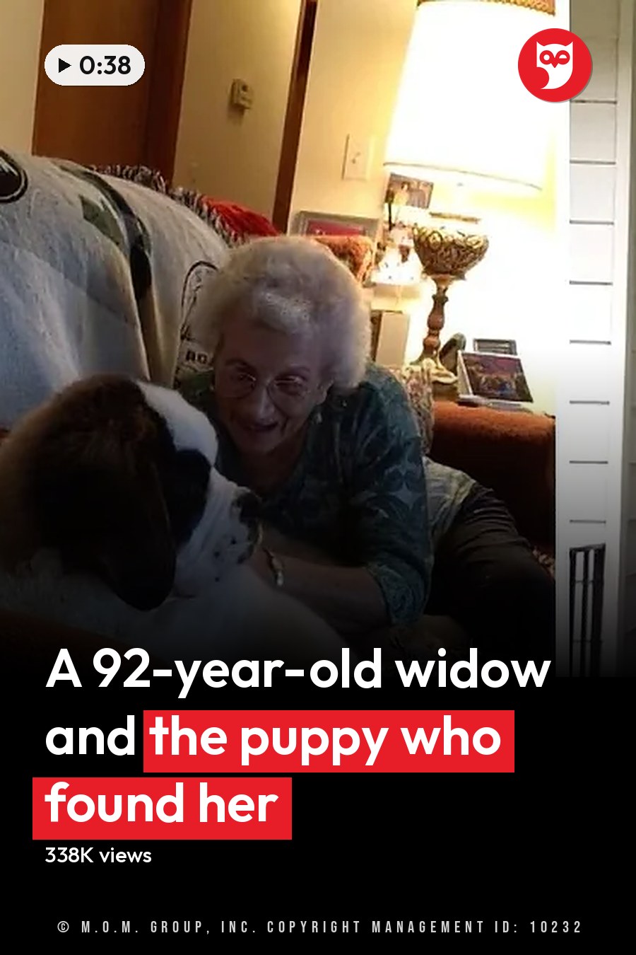 An elderly woman interacts with a large dog indoors, at her doorway, and walking outside in an asphalt lot. The headline runs in white letters across the lower third.