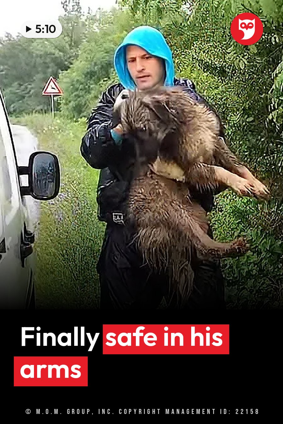 A man in a blue hood holds a large wet dog by the roadside, near green bushes and a white vehicle. A headline runs in white letters across the lower third.