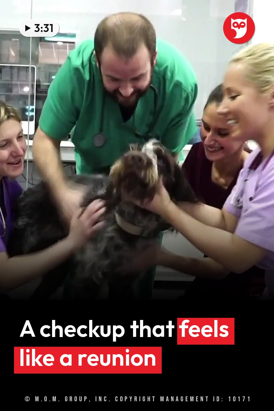 Four people surround a dog on an exam table, touching the dog and smiling. A headline runs in white letters across the lower third.