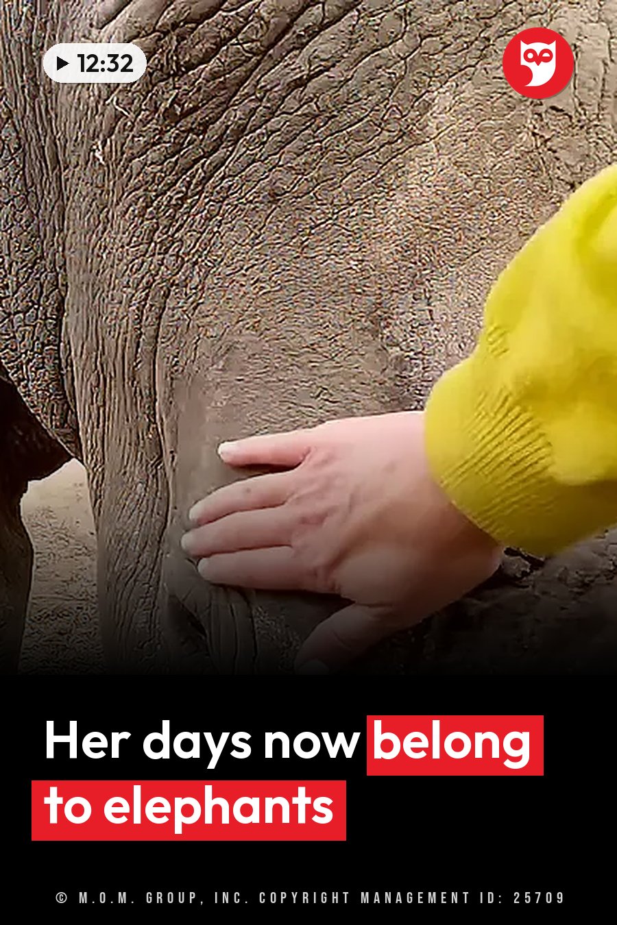 A hand in a yellow sleeve rests on an elephant's wrinkled gray skin. A headline runs in white letters across the lower third.