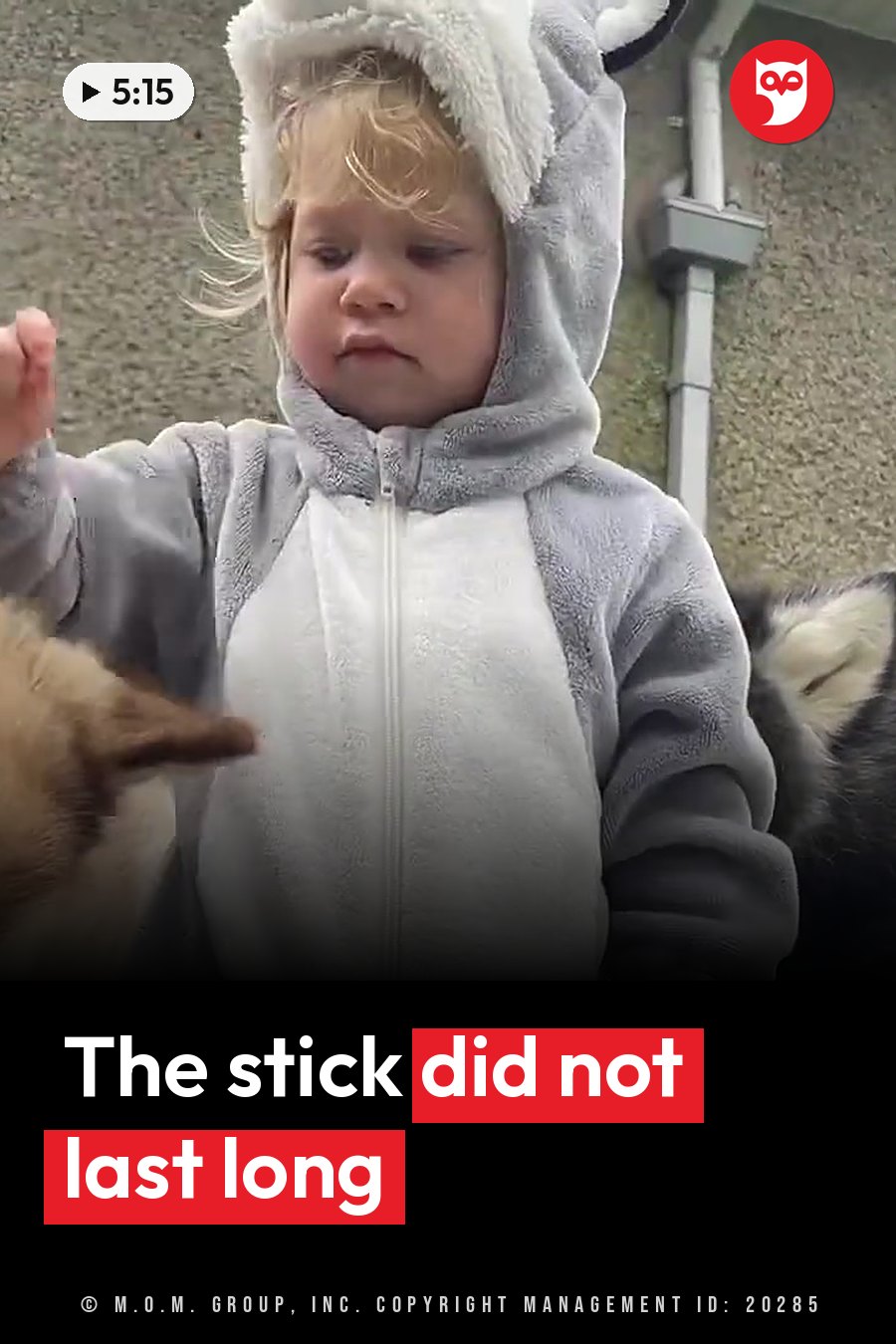 A child in a gray and white animal costume stands outside, looking down at something near her hand. A headline runs in white letters across the lower third.