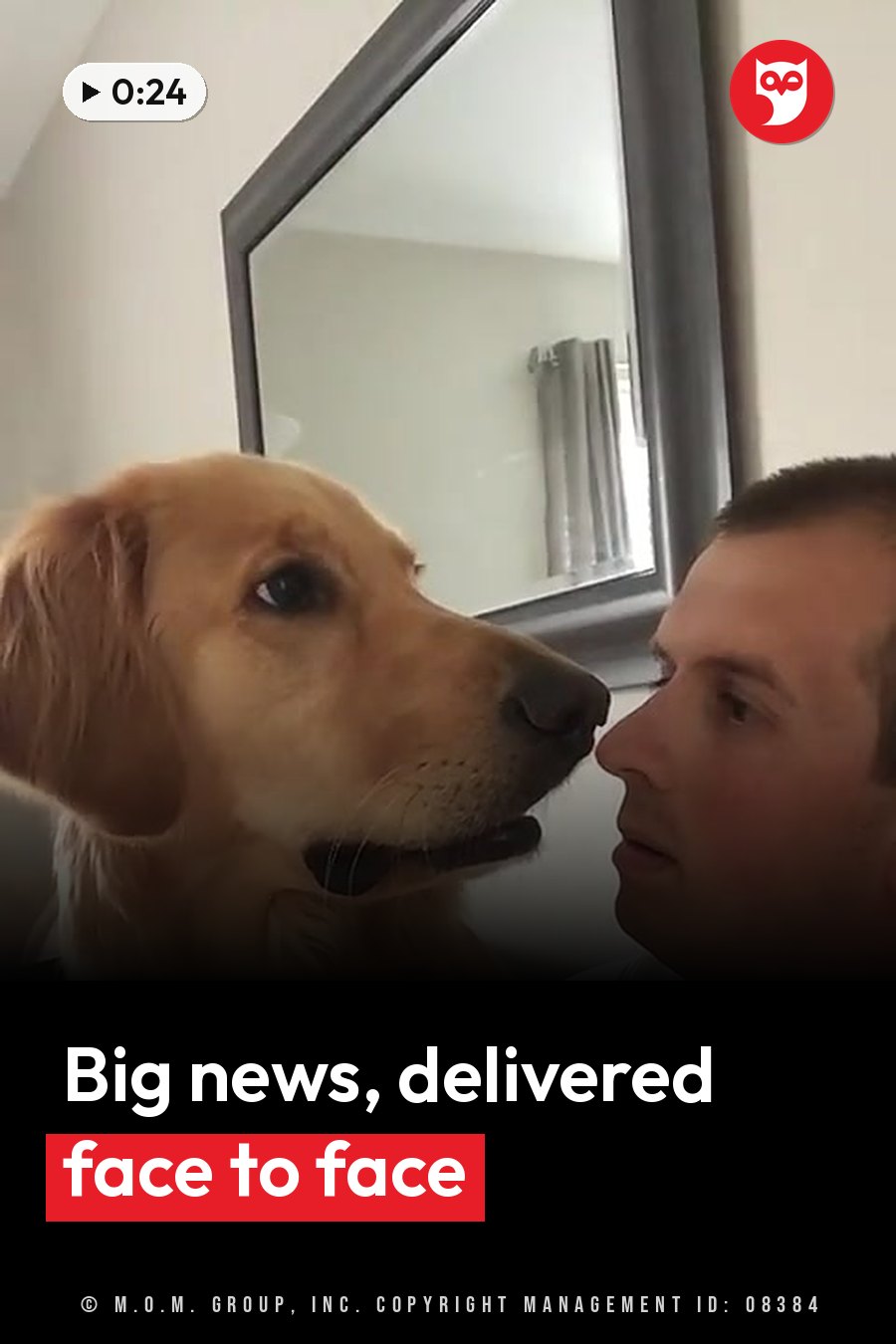 A golden retriever and a man face each other closely next to a mirror indoors. A headline runs in white letters across the lower third.
