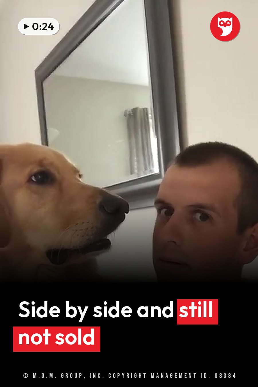 A man and a golden retriever look toward the camera, with a radiator reflected in a mirror behind them. A headline runs in white letters across the lower third.