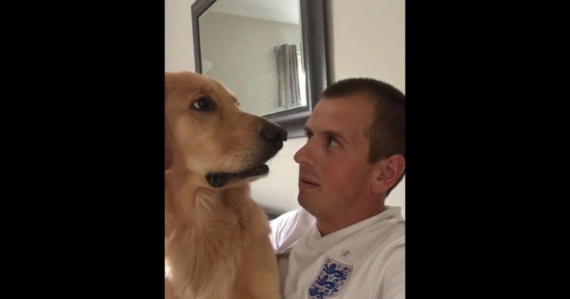 Adult male with Golden Retriever in indoor setting, white t-shirt with blue and red logo, light golden-brown dog fur, natural daylight.