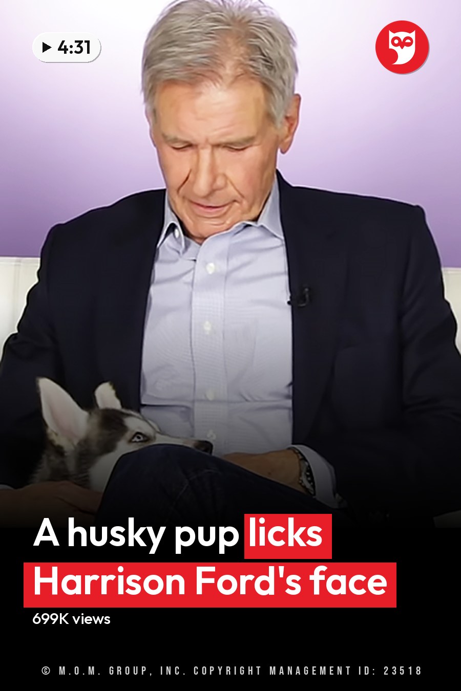 An older adult male sits with a white and gray husky on a white tufted couch in a brightly lit indoor studio setting. The headline runs in white letters across the lower third.