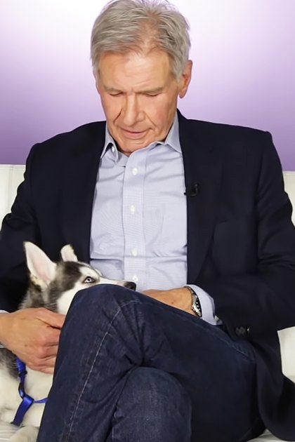 An older adult male sits with a white and gray husky on a white tufted couch in a brightly lit indoor studio setting.