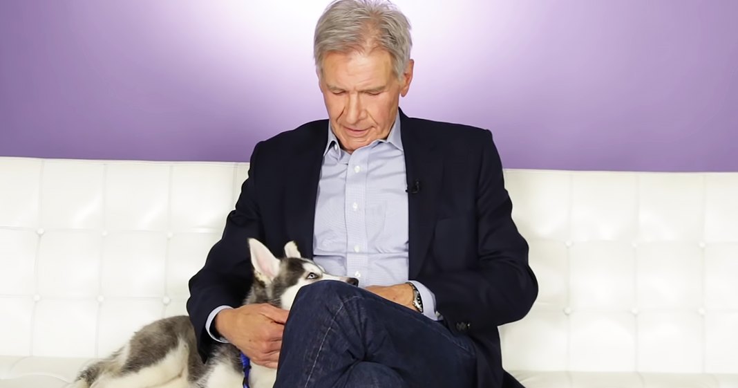 An older adult male sits with a white and gray husky on a white tufted couch in a brightly lit indoor studio setting.