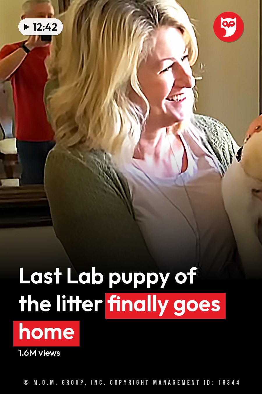 A golden retriever puppy being held between two women indoors with natural daylight filtering through a window. The headline runs in white letters across the lower third.