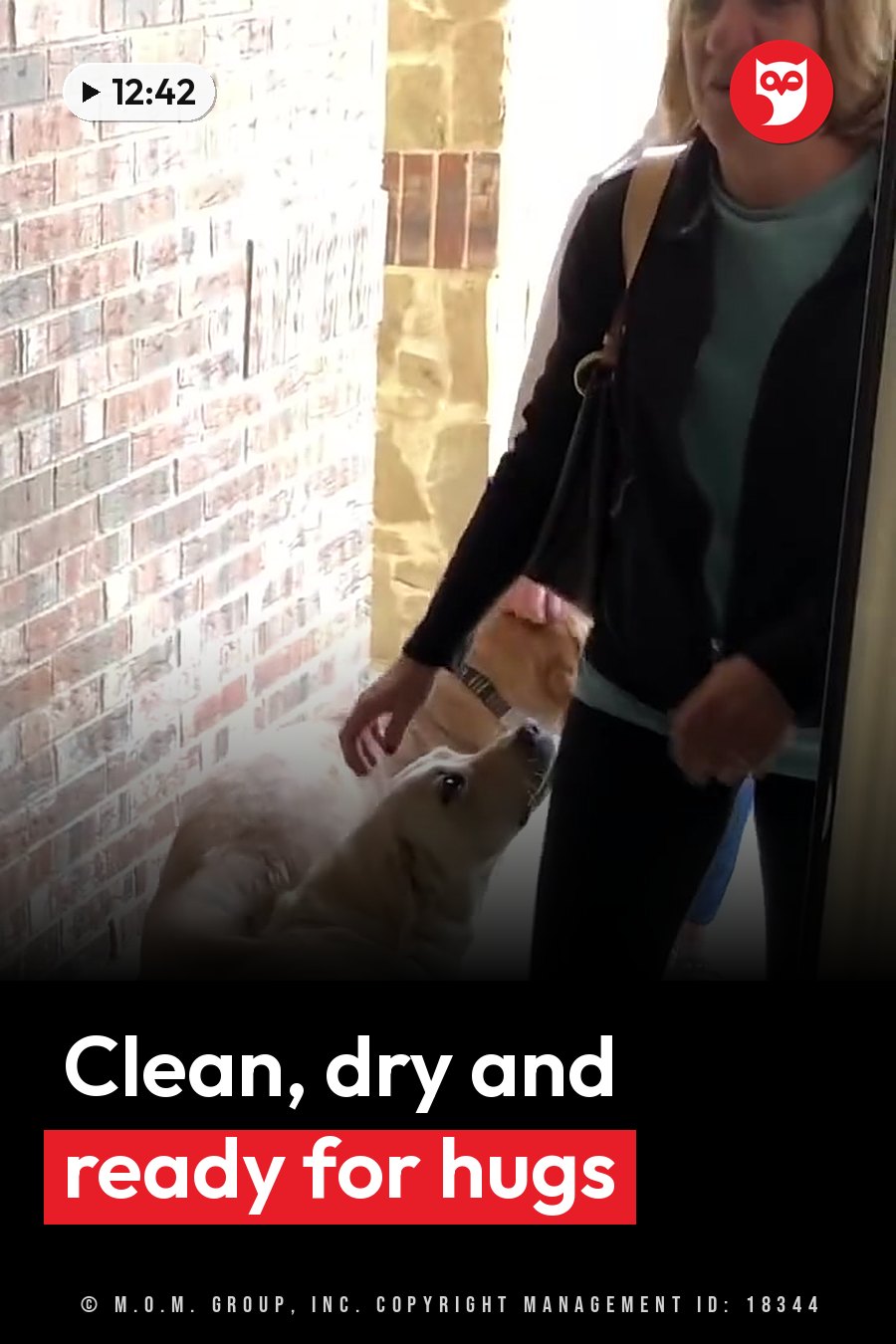 A woman stands near a brick wall with a light-colored dog lying on the floor beside her. A headline runs in white letters across the lower third.