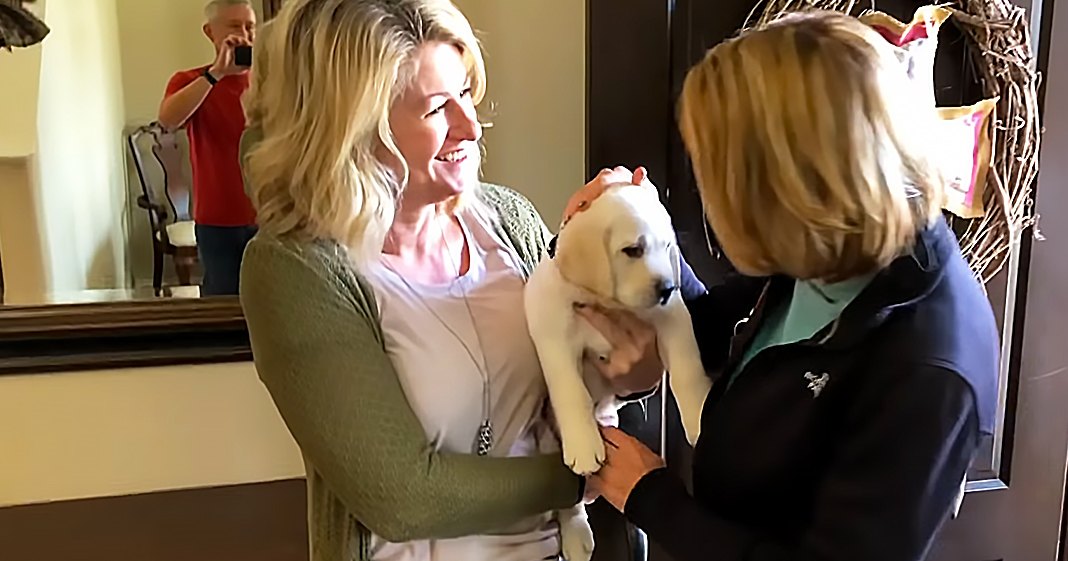 A golden retriever puppy being held between two women indoors with natural daylight filtering through a window.