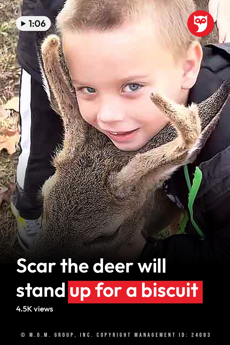 A young child and a white-tailed deer in an autumnal outdoor setting with fallen leaves and green grass. The headline runs in white letters across the lower third.