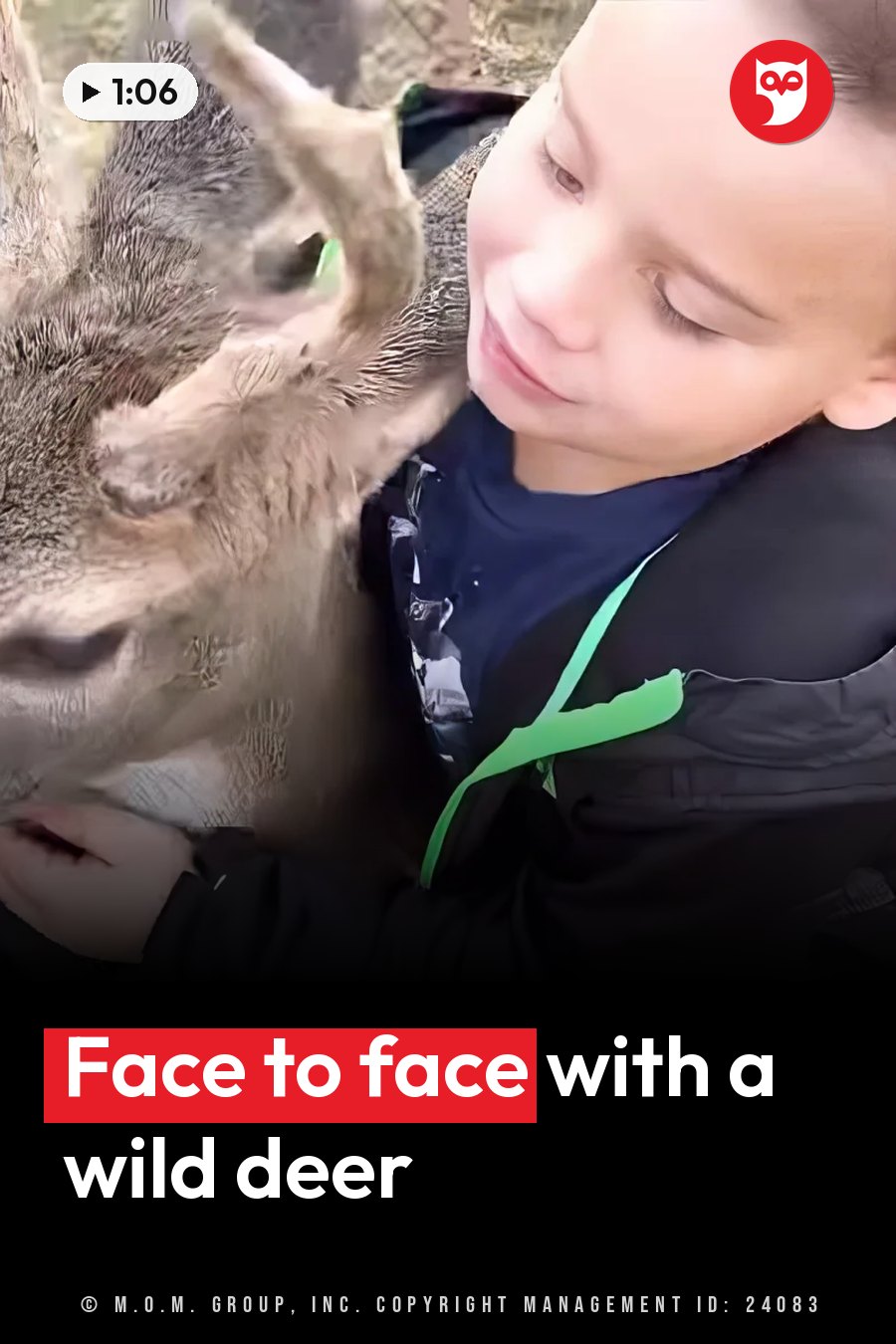 A young boy holds a deer close to his face, and both of them stay still. A headline runs in white letters across the lower third.