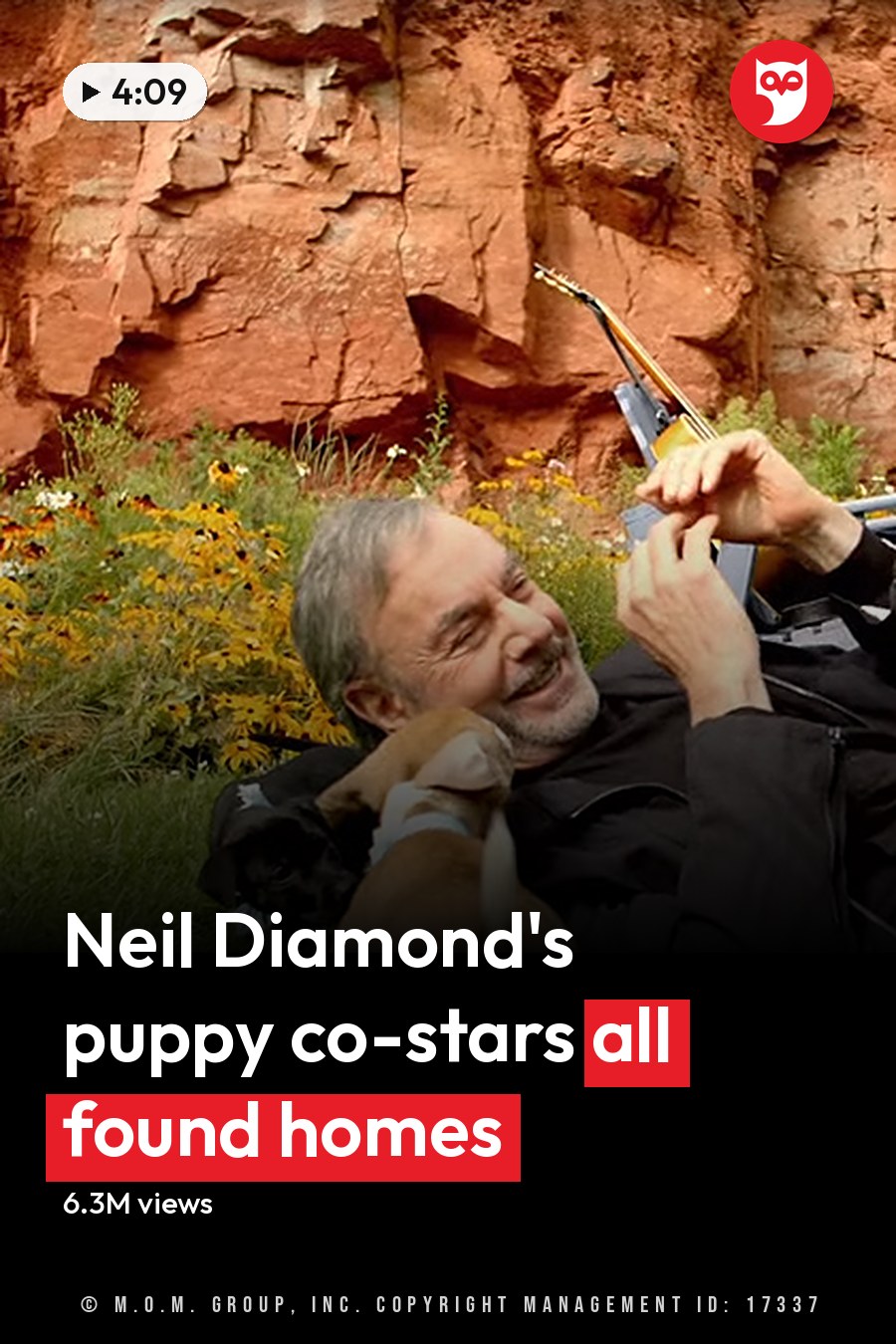 A middle-aged adult male wearing a black jacket outdoors near red rock formations and wildflowers, interacting with two light brown puppies. The headline runs in white letters across the lower third.