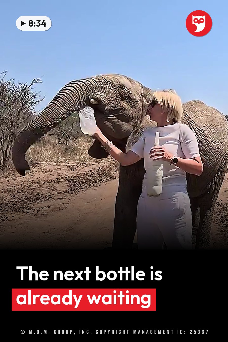 A person feeds an elephant from a bottle while holding a second bottle in bright sunlight. A headline runs in white letters across the lower third.