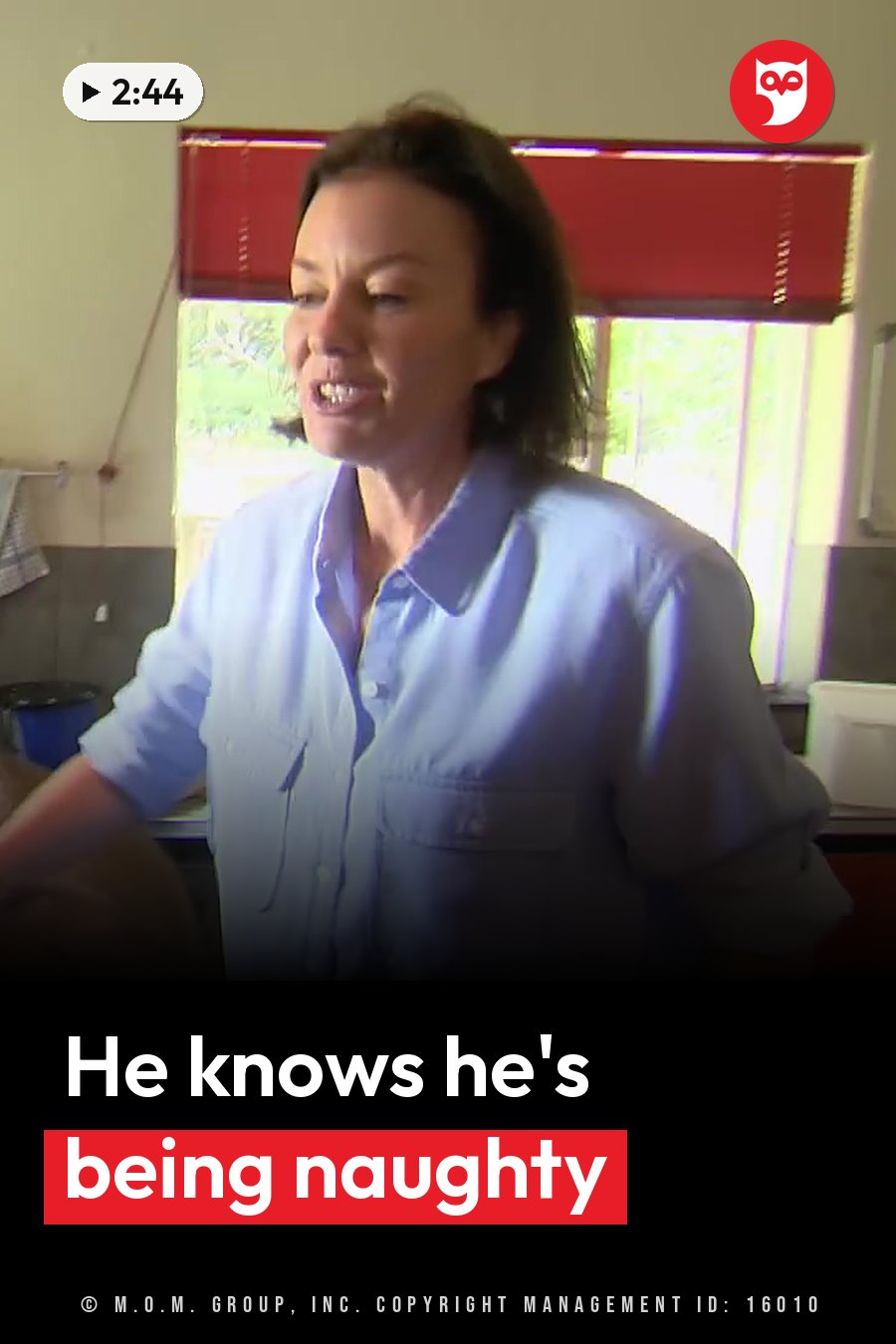 A woman in a light blue shirt stands indoors near a window with red blinds, appearing to speak. A headline runs in white letters across the lower third.