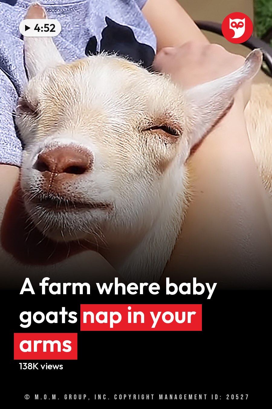 A young adult female wearing a blue t-shirt and jeans stands outdoors with a juvenile baby goat in a rural setting, surrounded by grass and dirt under bright daylight. The headline runs in white letters across the lower third.