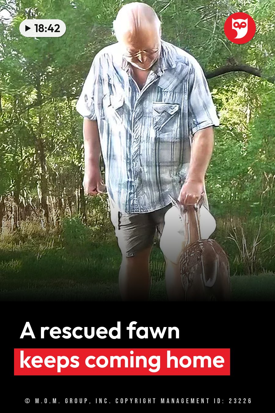 A bald man in a plaid shirt bends down to touch a small deer standing on grass near trees. A headline runs in white letters across the lower third.
