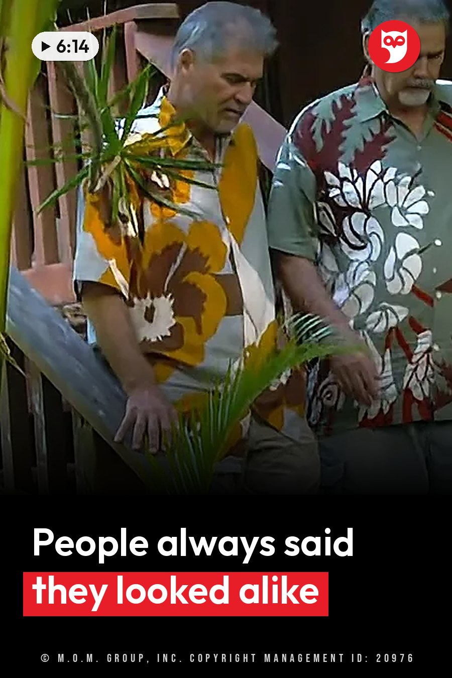 Two men in floral shirts stand near a wooden railing with green plants around them. A headline runs in white letters across the lower third.