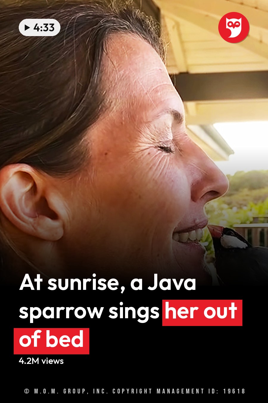 A Java sparrow perched on a hand, held by an older adult female in a light-colored top against an outdoor setting with green foliage and late afternoon sunlight. The headline runs in white letters across the lower third.