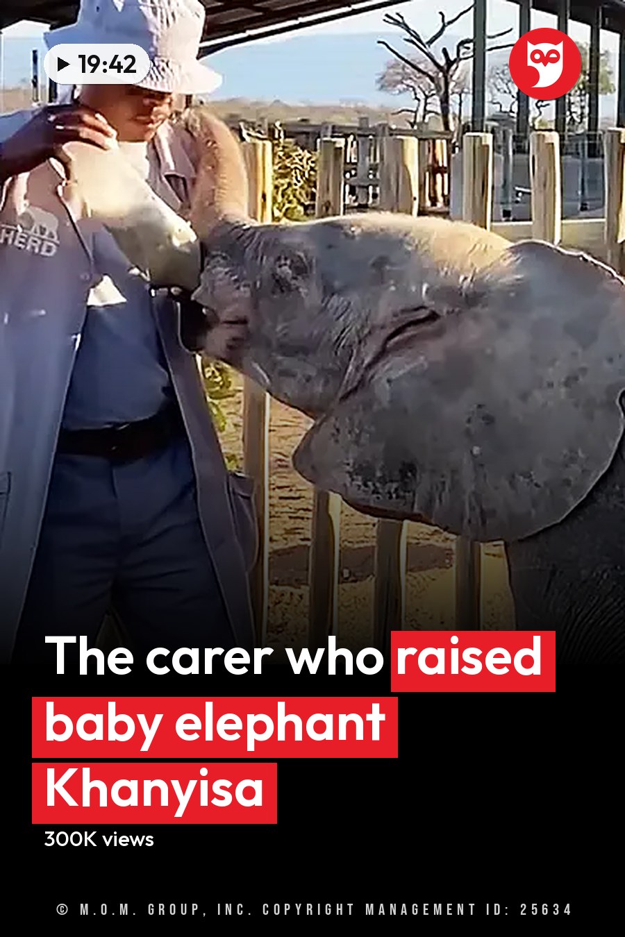 A juvenile elephant in a zoo or wildlife sanctuary enclosure surrounded by a wooden fence and sandy ground with trees and hills under clear skies on a sunny day during spring or summer. The headline runs in white letters across the lower third.