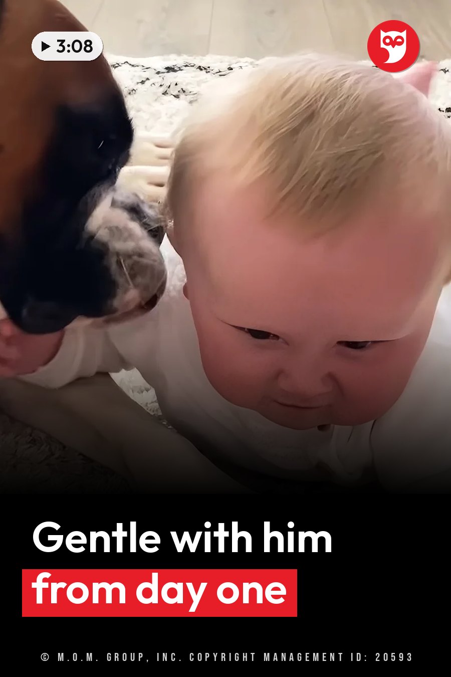 A dog lies close beside a baby on a soft surface, nuzzling near the baby's head. A headline runs in white letters across the lower third.