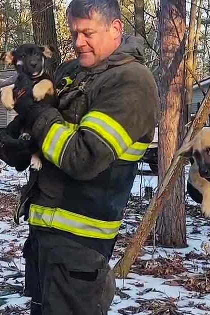 Three firefighters holding puppies outdoors on a snowy day with trees and light indicating late fall or winter.