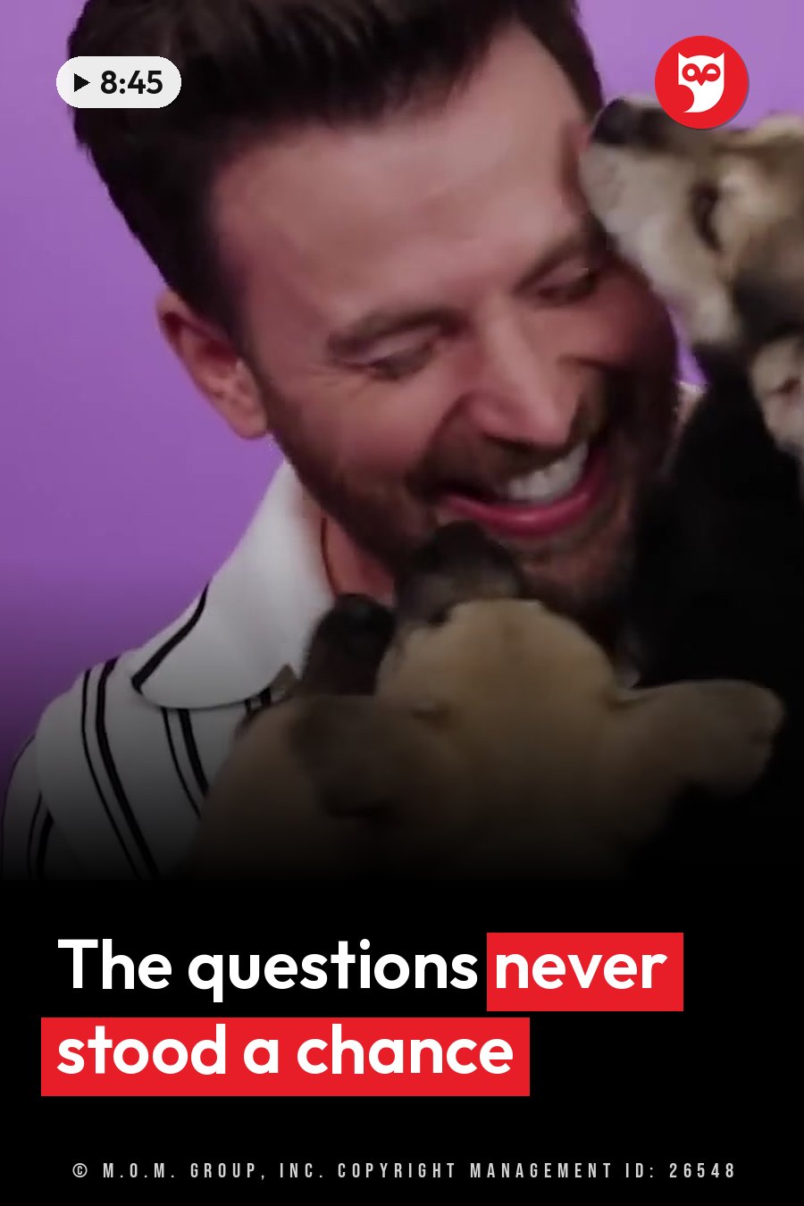 Chris Evans smiles as two small dogs lick his face in front of a purple backdrop. A headline runs in white letters across the lower third.