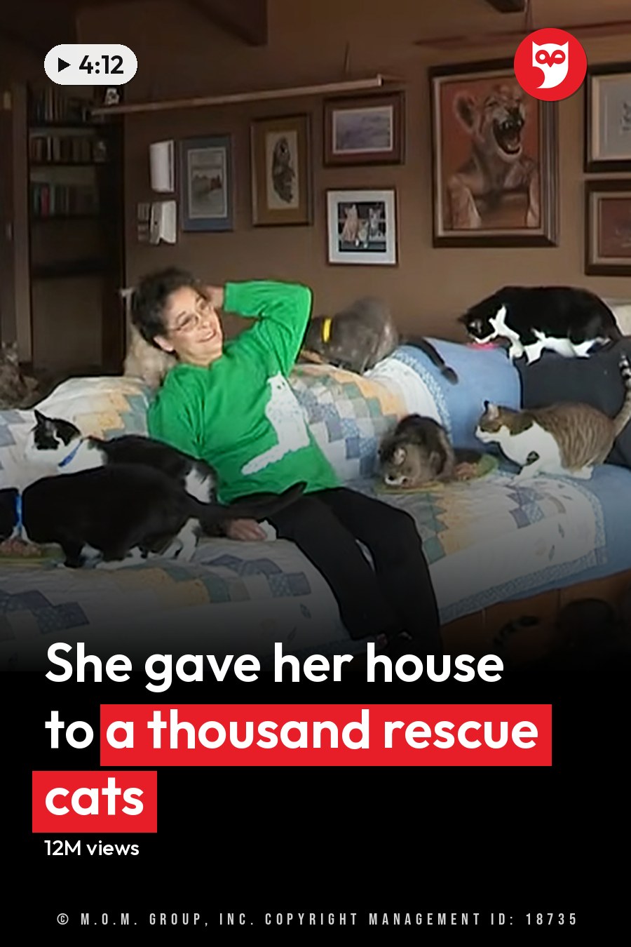 A middle-aged to older adult female in a green long-sleeve shirt with white text and black pants sits relaxed on the couch surrounded by domestic cats of various breeds, including tabby and calico patterns. The scene is indoors, likely her home kitchen area, with furniture like a blue quilted couch and wooden table. The headline runs in white letters across the lower third.