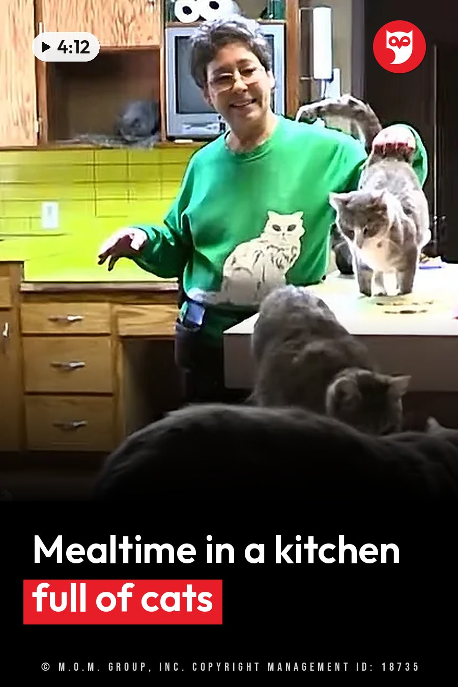 A woman in a green shirt stands in a kitchen with several cats around her. A headline runs in white letters across the lower third.