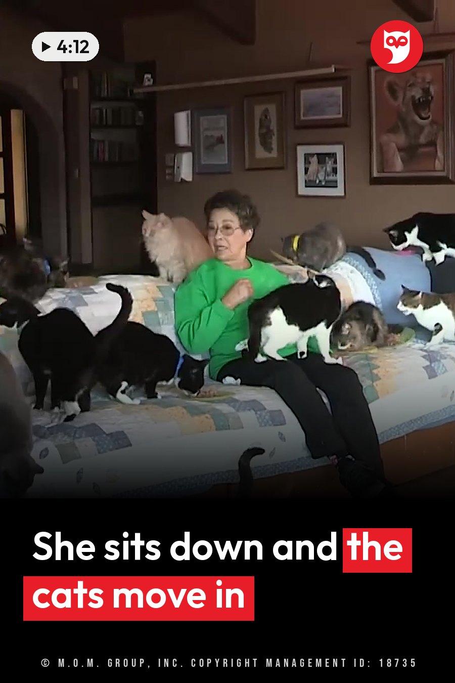 A woman sits on a bed surrounded by many cats, some resting and others moving around her. A headline runs in white letters across the lower third.