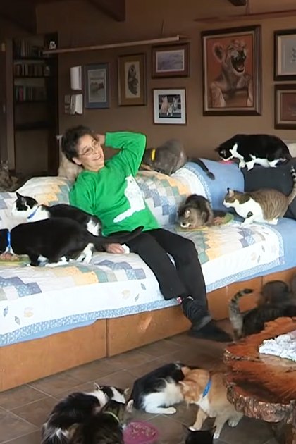 A middle-aged to older adult female in a green long-sleeve shirt with white text and black pants sits relaxed on the couch surrounded by domestic cats of various breeds, including tabby and calico patterns. The scene is indoors, likely her home kitchen area, with furniture like a blue quilted couch and wooden table.