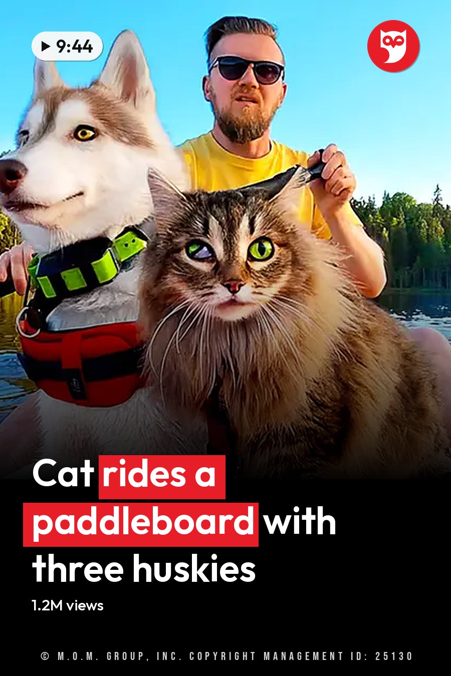 Adult male wearing a bright yellow T-shirt, paddling with pets in an orange kayak on a forested lake surrounded by green trees and clear blue sky. The headline runs in white letters across the lower third.