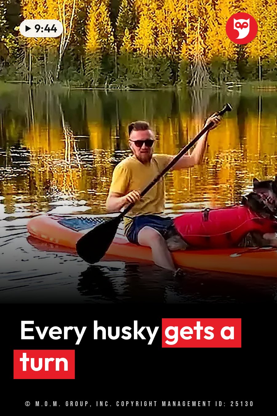 A man paddles an orange board on calm water with a dog in a red vest, trees with golden leaves along the bank. A headline runs in white letters across the lower third.
