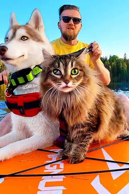 Adult male wearing a bright yellow T-shirt, paddling with pets in an orange kayak on a forested lake surrounded by green trees and clear blue sky.