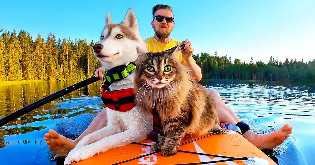 Adult male wearing a bright yellow T-shirt, paddling with pets in an orange kayak on a forested lake surrounded by green trees and clear blue sky.