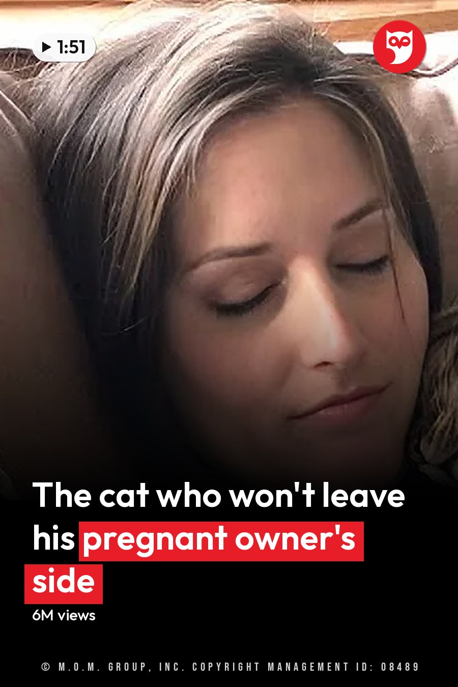 An adult female with a tabby cat in a cozy living room setting, bathed in natural light. The headline runs in white letters across the lower third.