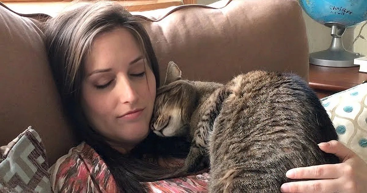 An adult female with a tabby cat in a cozy living room setting, bathed in natural light.