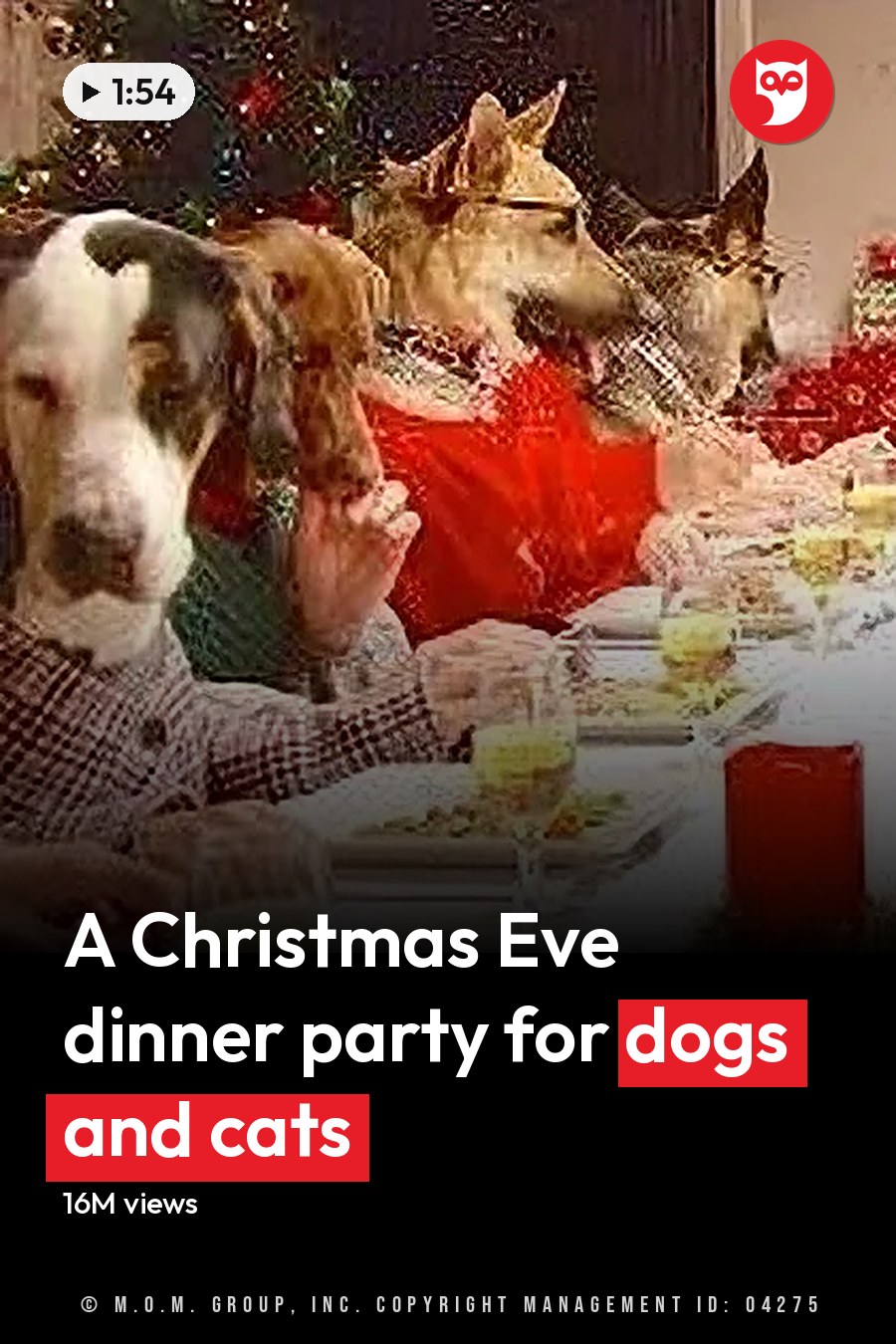 Festive holiday dinner scene with animals dressed as humans and various sweaters, indoors decorated for Christmas. The headline runs in white letters across the lower third.