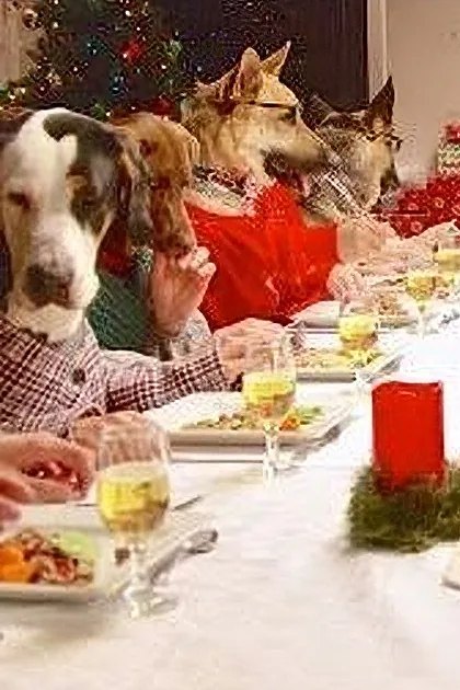 Festive holiday dinner scene with animals dressed as humans and various sweaters, indoors decorated for Christmas.