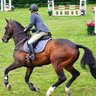 Djl Equestrian