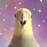 Alex The Honking Bird