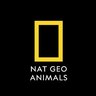 Nat Geo Animals