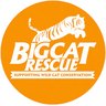 Big Cat Rescue