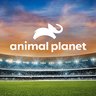Animal Planet