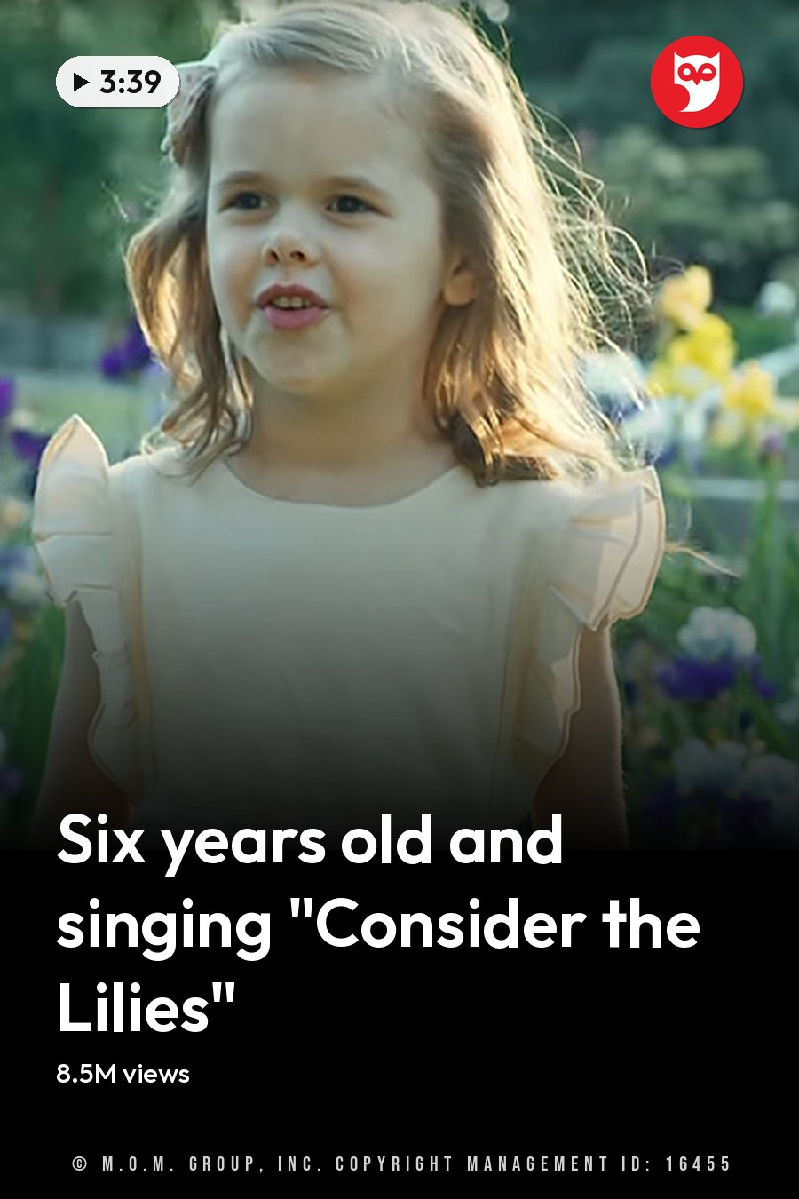 A toddler girl wearing a cream-colored lace dress with ruffled sleeves stands amidst blooming irises in an outdoor garden setting, surrounded by greenery and soft natural daylight. The headline runs in white letters across the lower third.