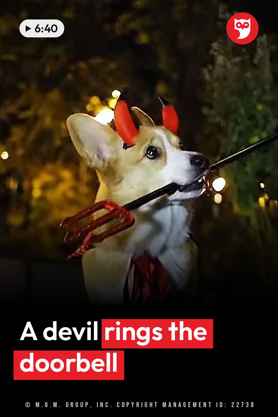 A corgi in red devil horns stands outdoors at night holding a red pitchfork. A headline runs in white letters across the lower third.